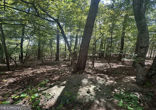 Photo 3 of Land for sale at 6034 Belle Meade Ct, Villa Rica, GA 30180 | MLS# 10837934 | Listing updated on 2026-09-15