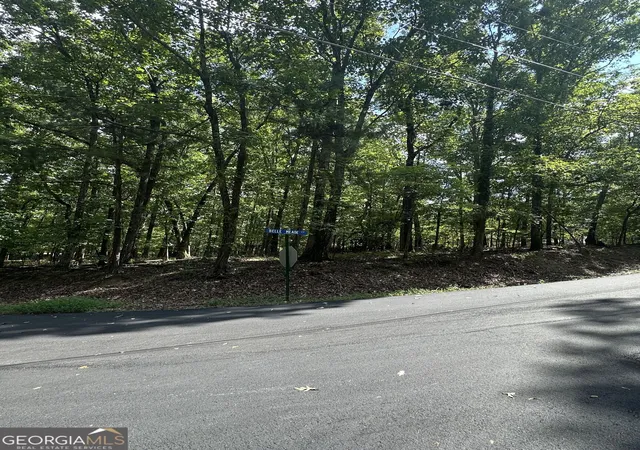 Photo 4 of Land for sale at 6034 Belle Meade Ct, Villa Rica, GA 30180 | MLS# 10837934 | Listing updated on 2026-09-15