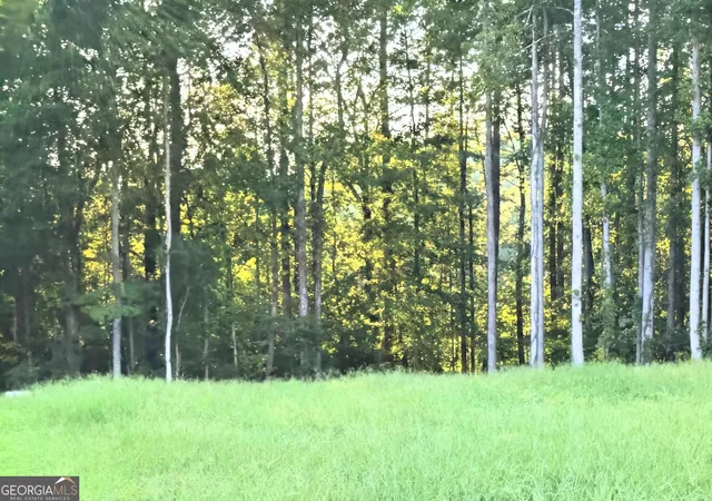 Photo 2 of Sale Pending at 322 N Hicks Rd, Toccoa, GA 30577 | MLS# 10840626 | Listing updated on 2026-09-09