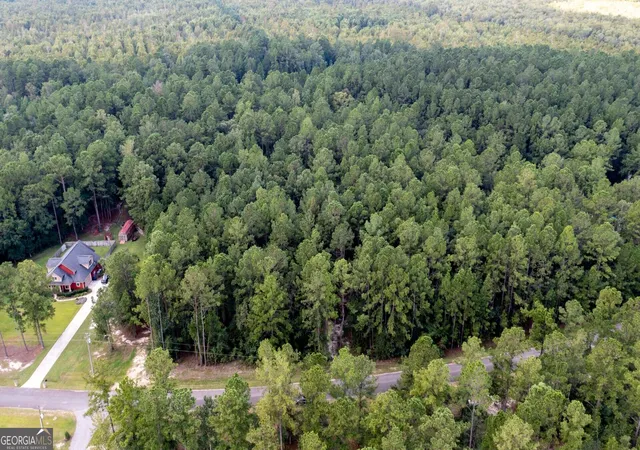 Land for sale at V/l 16 Forest Tr, Waverly, GA 31565 | MLS# 10841677
