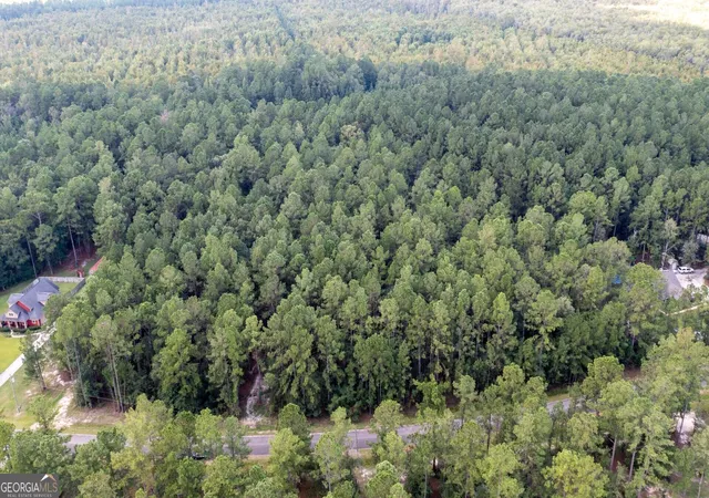 Photo 2 of Land for sale at V/l 16 Forest Tr, Waverly, GA 31565 | MLS# 10841677 | Listing updated on 2026-09-22