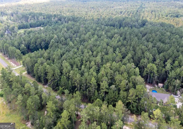 Photo 3 of Land for sale at V/l 16 Forest Tr, Waverly, GA 31565 | MLS# 10841677 | Listing updated on 2026-09-22