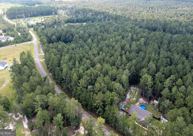 Photo 3 of Land for sale at V/l 16 Forest Tr, Waverly, GA 31565 | MLS# 10841677 | Listing updated on 2026-09-22
