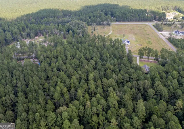 Photo 4 of Land for sale at V/l 16 Forest Tr, Waverly, GA 31565 | MLS# 10841677 | Listing updated on 2026-09-22