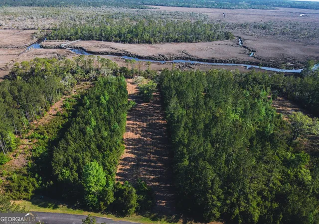 Photo 1 of Land for sale at V/l 73 La Sole Ln, Waverly, GA 31565 | MLS# 10757408 | Listing updated on 2026-09-28