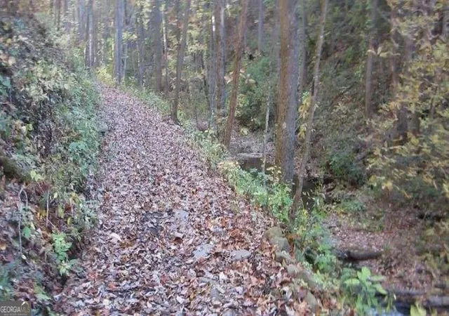 Photo 3 of Land for sale at 232 Andes Ridge, Ellijay, GA 30540 | MLS# 10878638 | Listing updated on 2026-10-27