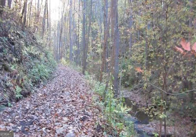Photo 4 of Land for sale at 232 Andes Ridge, Ellijay, GA 30540 | MLS# 10878638 | Listing updated on 2026-10-27
