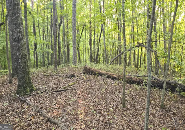 Photo 1 of Land for sale at Lot 20 Seye Wailo Trl, Clarkesville, GA 30523 | MLS# 10846870 | Listing updated on 2026-09-30