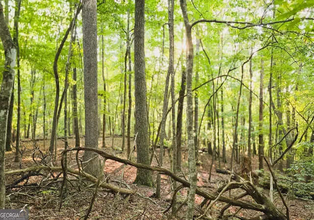 Photo 2 of Land for sale at Lot 20 Seye Wailo Trl, Clarkesville, GA 30523 | MLS# 10846870 | Listing updated on 2026-09-30