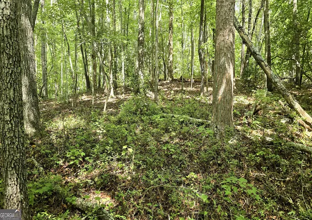 Photo 3 of Land for sale at Lot 20 Seye Wailo Trl, Clarkesville, GA 30523 | MLS# 10846870 | Listing updated on 2026-09-30