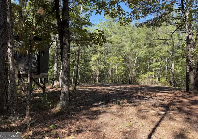 Photo 2 of Land for sale at 0 Pig Rd, Bartow, GA 30413 | MLS# 10839577 | Listing updated on 2026-09-24