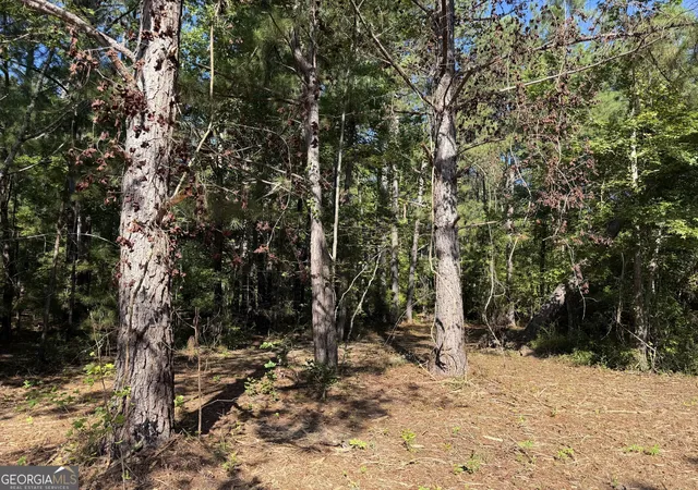Photo 3 of Land for sale at 0 Pig Rd, Bartow, GA 30413 | MLS# 10839577 | Listing updated on 2026-09-24