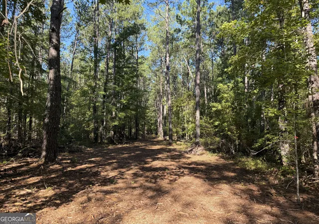 Photo 3 of Land for sale at 0 Pig Rd, Bartow, GA 30413 | MLS# 10839577 | Listing updated on 2026-09-24