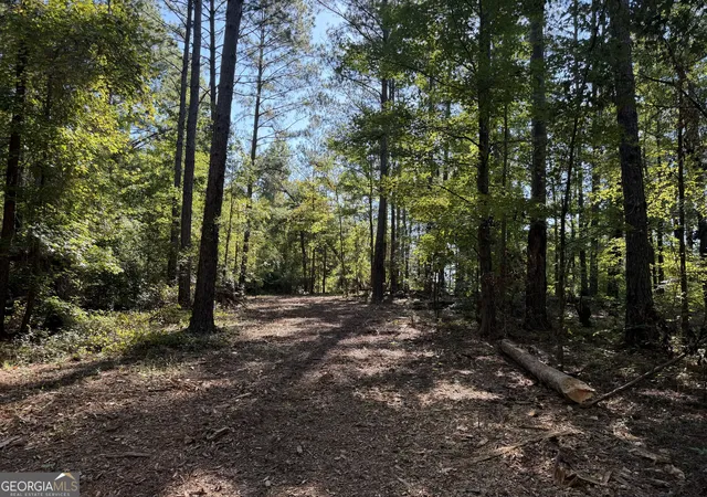Photo 4 of Land for sale at 0 Pig Rd, Bartow, GA 30413 | MLS# 10839577 | Listing updated on 2026-09-24