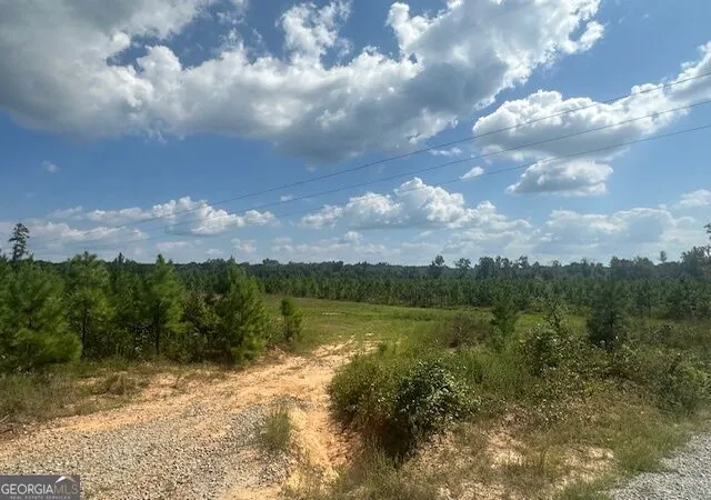 Photo 3 of House for sale at 0 Millen Rd #TRACT 20, Monticello, GA 31064 | MLS# 10848948 | Listing updated on 2026-10-02