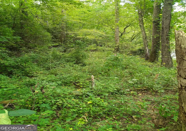 Photo 1 of Land for sale at 00 Marie #LOT 1800, Talking Rock, GA 30175 | MLS# 10851157 | Listing updated on 2026-10-06