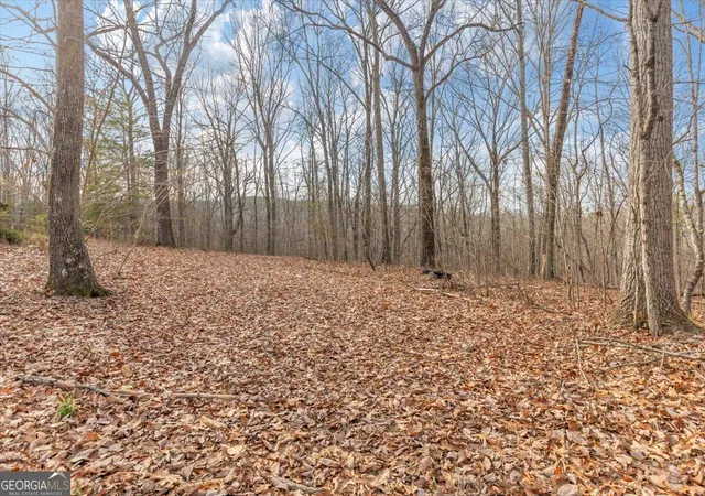 Land for sale at 13 Acres Percheron Dr, Dalton, GA 30720 | MLS# 10837093