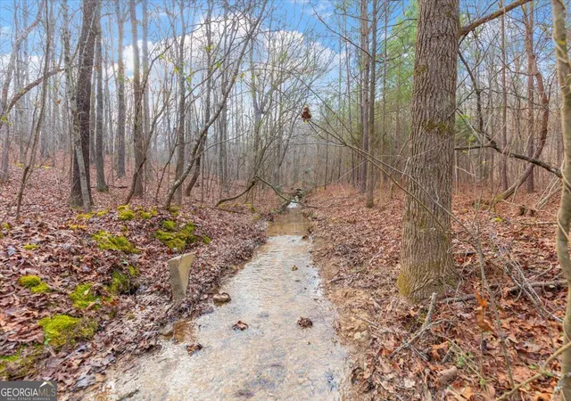 Photo 2 of Land for sale at 13 Acres Percheron Dr, Dalton, GA 30720 | MLS# 10837093 | Listing updated on 2026-09-15