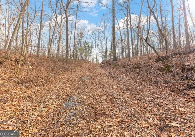 Photo 3 of Land for sale at 13 Acres Percheron Dr, Dalton, GA 30720 | MLS# 10837093 | Listing updated on 2026-09-15