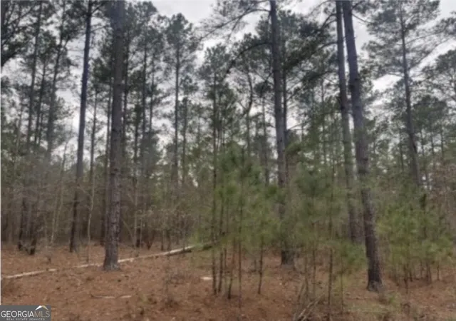 Photo 3 of Land for sale at 0 Black Springs Rd, Milledgeville, GA 31061 | MLS# 10822057 | Listing updated on 2026-09-03