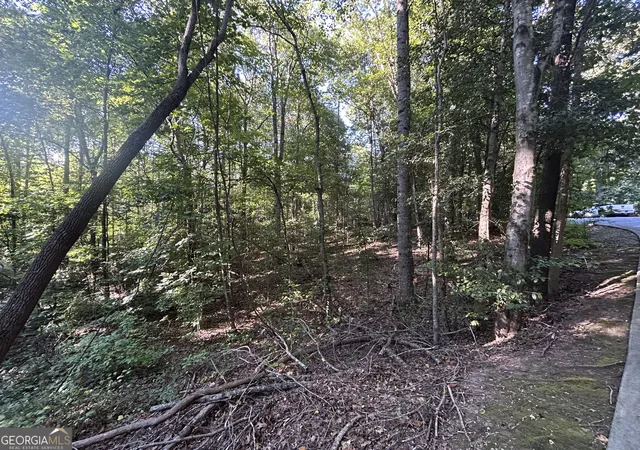 Photo 4 of Land for sale at 0 Professional Dr #LOT 7, Baldwin, GA 30511 | MLS# 10851706 | Listing updated on 2026-10-07