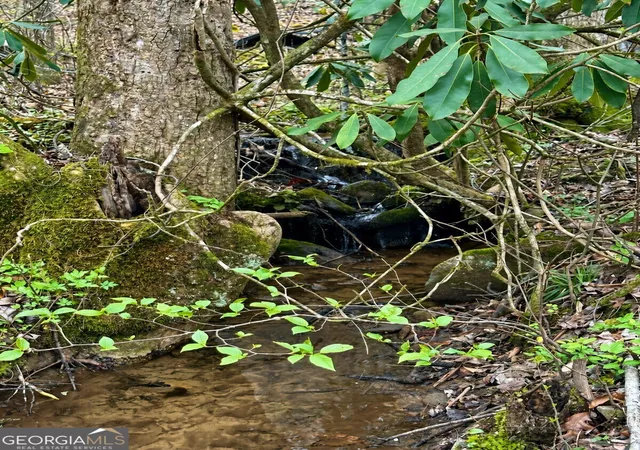 Photo 3 of Land for sale at Lot 4 Blue Horizon Dr #4, Blue Ridge, GA 30513 | MLS# 10847336 | Listing updated on 2026-09-30
