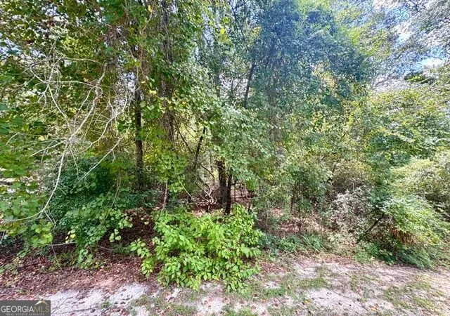 Photo 3 of Land for sale at Lot 18 Old Ml Way, Statesboro, GA 30461 | MLS# 10837451 | Listing updated on 2026-09-15