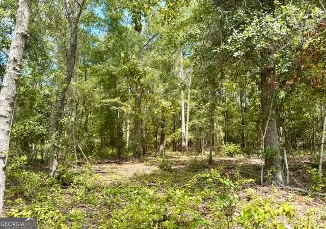 Photo 4 of Land for sale at Lot 18 Old Ml Way, Statesboro, GA 30461 | MLS# 10837451 | Listing updated on 2026-09-15