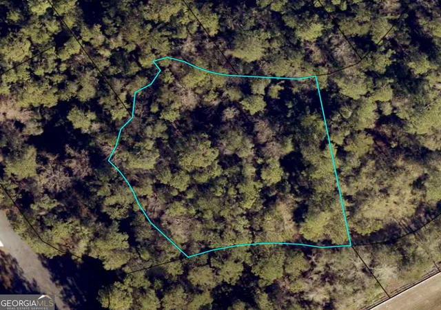 Photo 2 of Land for sale at 111 Canoe Run, Woodbine, GA 31569 | MLS# 10842643 | Listing updated on 2026-09-23