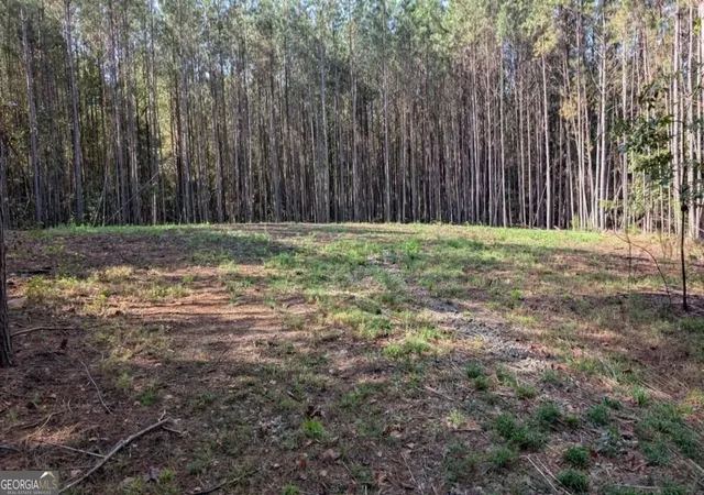 Photo 3 of House for sale at 1158 Ballard Rd, Ball Ground, GA 30107 | MLS# 10851134 | Listing updated on 2026-10-06
