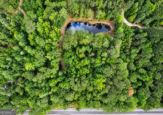 Photo 2 of Land for sale at 15 Acres Mt Pleasant Rd, Clyo, GA 31303 | MLS# 10841467 | Listing updated on 2026-09-08