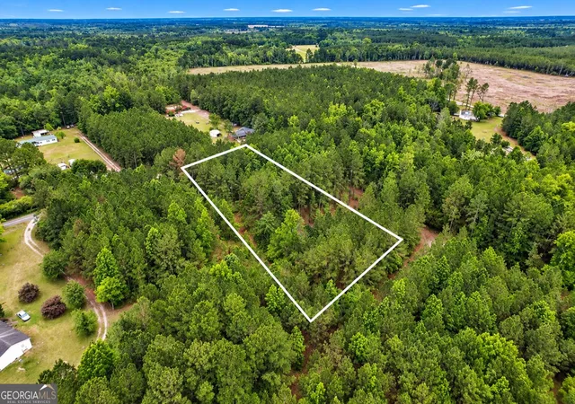 Photo 4 of Land for sale at 15 Acres Mt Pleasant Rd, Clyo, GA 31303 | MLS# 10841467 | Listing updated on 2026-10-20