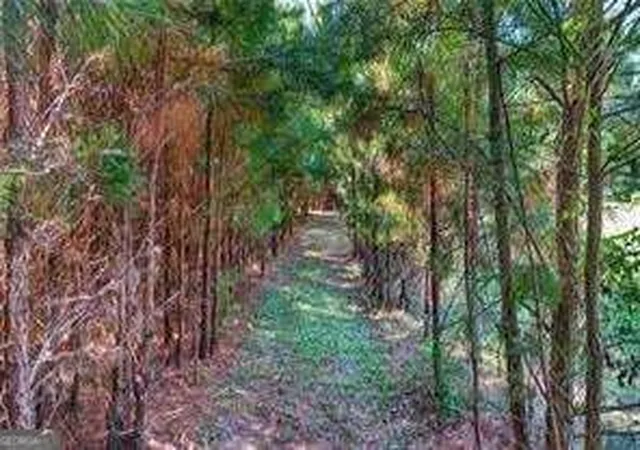 Photo 3 of Land for sale at 709 Birdie Rd, Griffin, GA 30223 | MLS# 10880424 | Listing updated on 2026-10-28