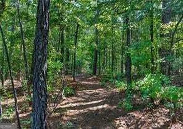 Photo 4 of Land for sale at 709 Birdie Rd, Griffin, GA 30223 | MLS# 10880424 | Listing updated on 2026-10-28