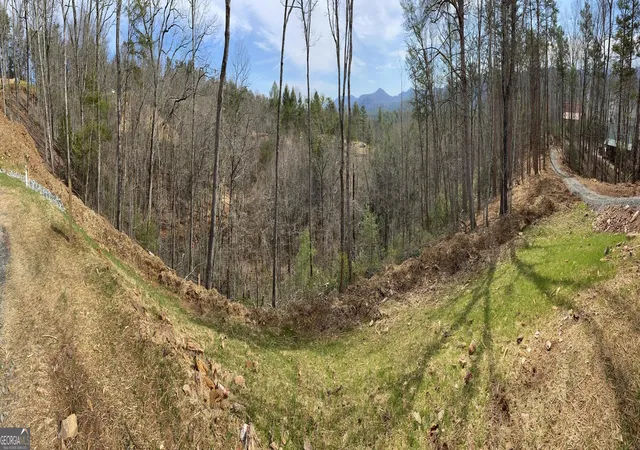 Photo 3 of Land for sale at 0 Mountain Laurel Ridge, Mineral Bluff, GA 30559 | MLS# 10850301 | Listing updated on 2026-10-05