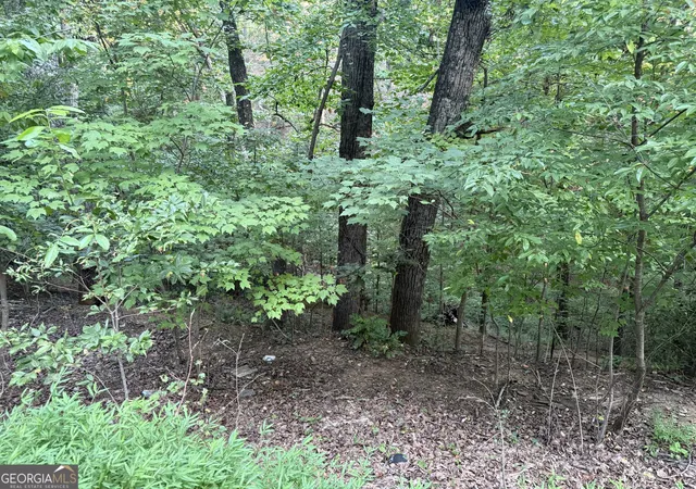 Photo 1 of Land for sale at 2333 Frd White Rd, Gainesville, GA 30506 | MLS# 10839844 | Listing updated on 2026-09-07