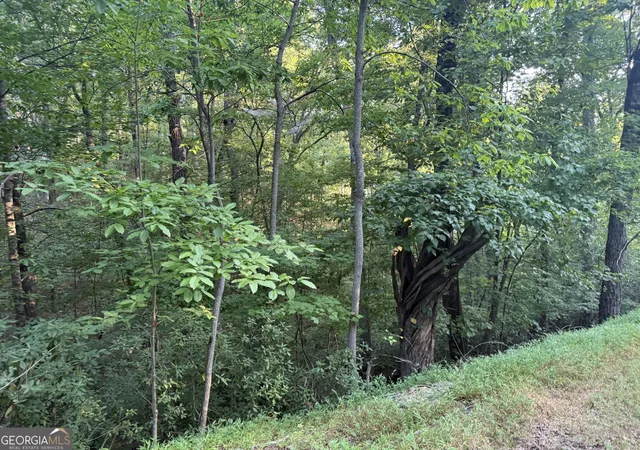 Photo 2 of Land for sale at 2333 Frd White Rd, Gainesville, GA 30506 | MLS# 10839844 | Listing updated on 2026-09-07