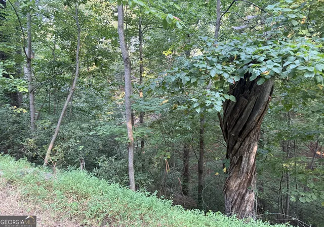 Photo 2 of Land for sale at 2333 Frd White Rd, Gainesville, GA 30506 | MLS# 10839844 | Listing updated on 2026-09-07
