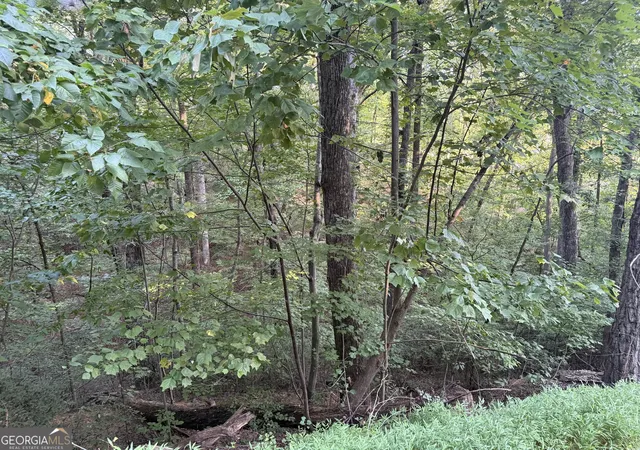 Photo 3 of Land for sale at 2333 Frd White Rd, Gainesville, GA 30506 | MLS# 10839844 | Listing updated on 2026-09-07