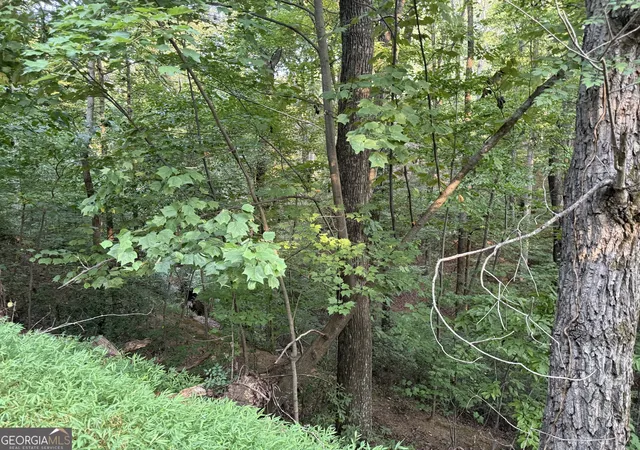Photo 5 of Land for sale at 2333 Frd White Rd, Gainesville, GA 30506 | MLS# 10839844 | Listing updated on 2026-09-07