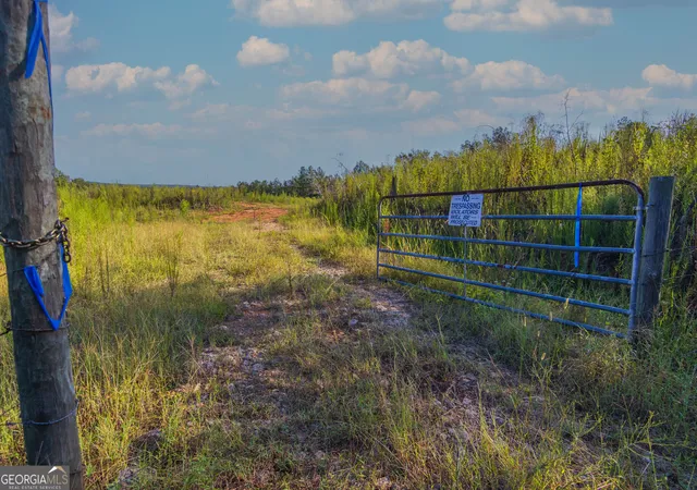 Photo 1 of Land for sale at Tract 1 Highway 0036, Woodland, GA 31836 | MLS# 10837371 | Listing updated on 2026-09-30