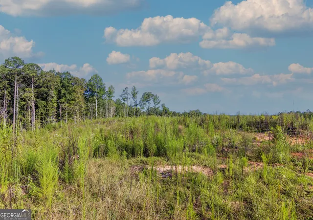 Photo 2 of Land for sale at Tract 1 Highway 0036, Woodland, GA 31836 | MLS# 10837371 | Listing updated on 2026-09-30