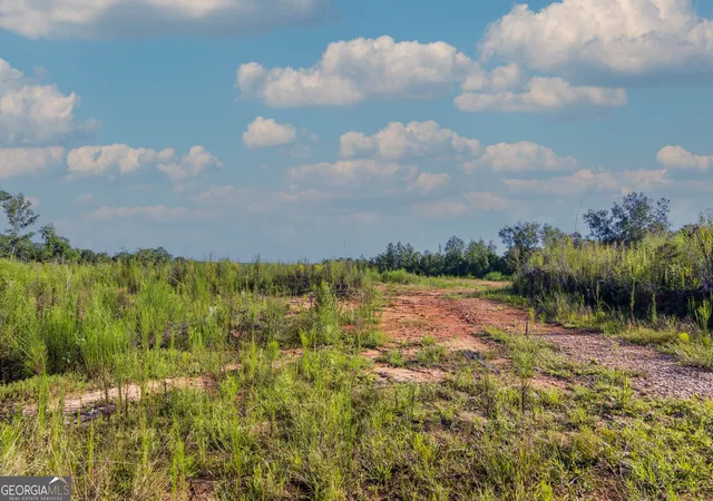 Photo 3 of Land for sale at Tract 1 Highway 0036, Woodland, GA 31836 | MLS# 10837371 | Listing updated on 2026-09-30