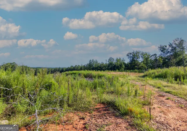 Photo 3 of Land for sale at Tract 1 Highway 0036, Woodland, GA 31836 | MLS# 10837371 | Listing updated on 2026-09-30