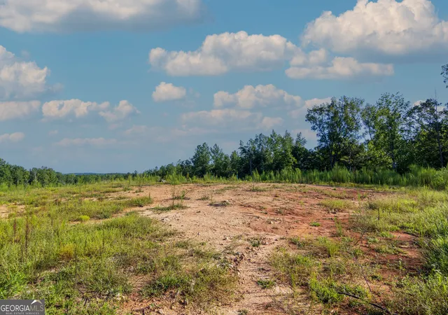 Photo 4 of Land for sale at Tract 1 Highway 0036, Woodland, GA 31836 | MLS# 10837371 | Listing updated on 2026-09-30