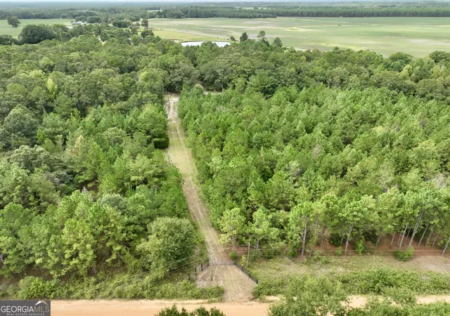 Photo 2 of Land for sale at 79 Stewart Rd, Eastman, GA 31023 | MLS# 10844323 | Listing updated on 2026-09-11