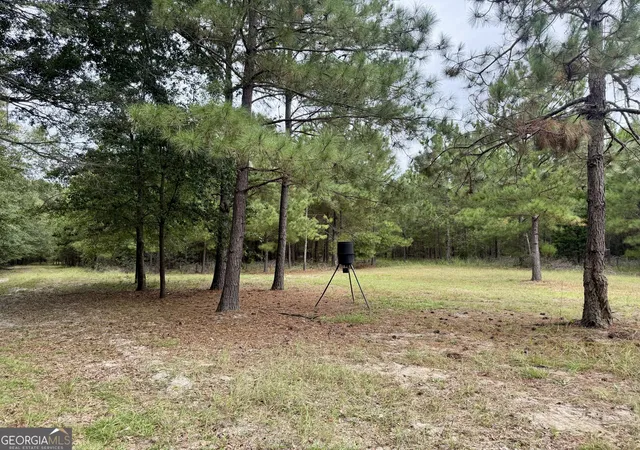 Photo 3 of Sale Pending at 79 Stewart Rd, Eastman, GA 31023 | MLS# 10844323 | Listing updated on 2026-09-22