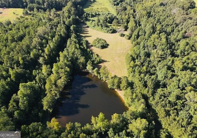 Land for sale at 633 Duncan Rd, Carrollton, GA 30116 | MLS# 10842423