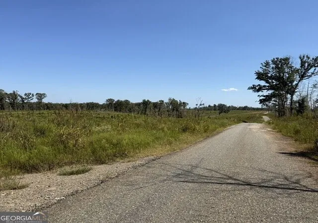 Photo 1 of Land for sale at 76 +/  Acres On Gibson Rd, Talbotton, GA 31827 | MLS# 10851005 | Listing updated on 2026-10-06