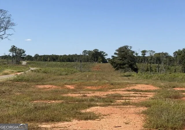 Photo 3 of Land for sale at 76 +/  Acres On Gibson Rd, Talbotton, GA 31827 | MLS# 10851005 | Listing updated on 2026-10-06